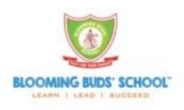 Blooming Buds School